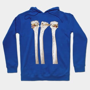 Three ostriches Hoodie